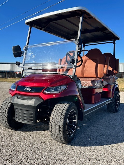 2025 Advanced EV Horizon $9750